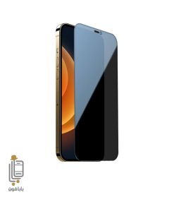 قیمت و خرید گلس-پرایوسی-آیفون-Apple-iPhone-12-Pro-Max