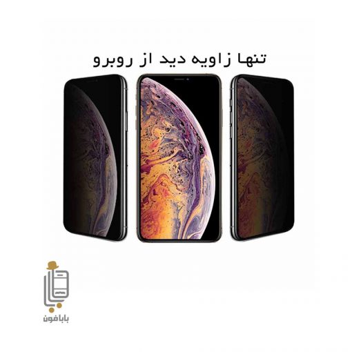 قیمت و خرید گلس-پرایوسی-گوشی-آیفون-Apple-iPhone-12-Pro